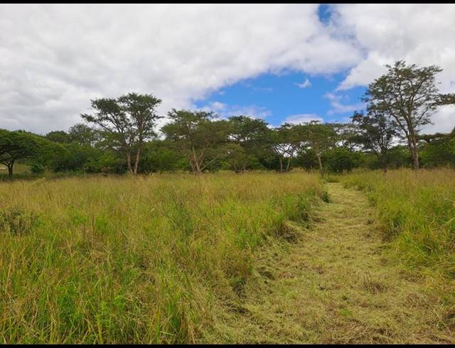 LAND FOR SALE IN WILD FIG COUNTRY ESTATE